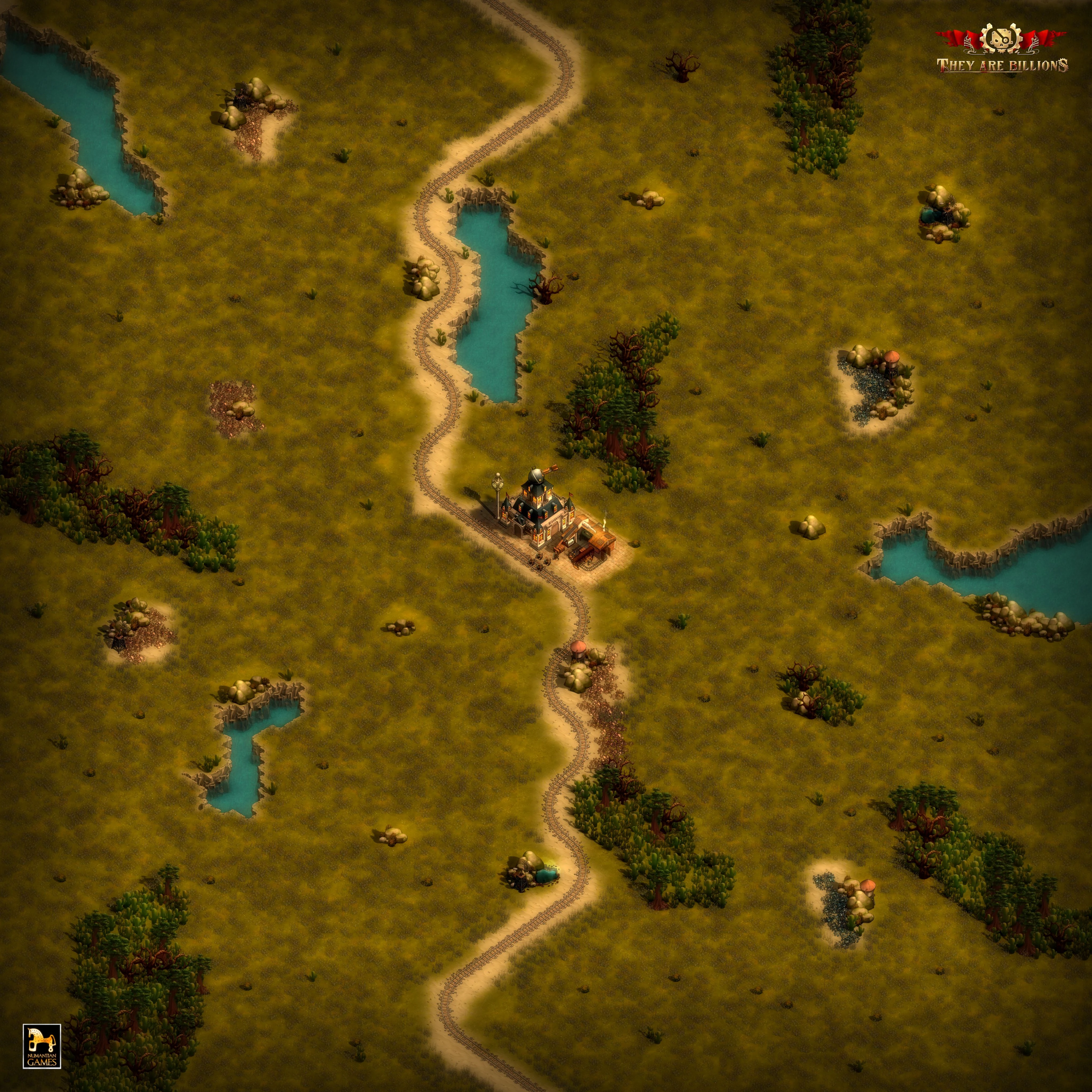 The Oasis